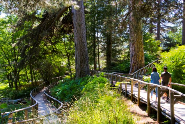 Natura e benessere tra mare e monti