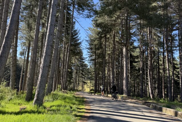Ciclotour dal Pollino alla Sila